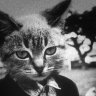Владимир Курганов