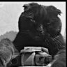 DoBeRmAnbI4
